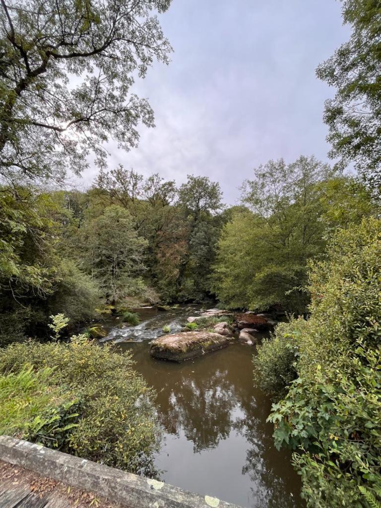 Gite Les Pieds Dans L'Eau 10 Min Du Puy Du Fo Treize-Vents Exterior foto